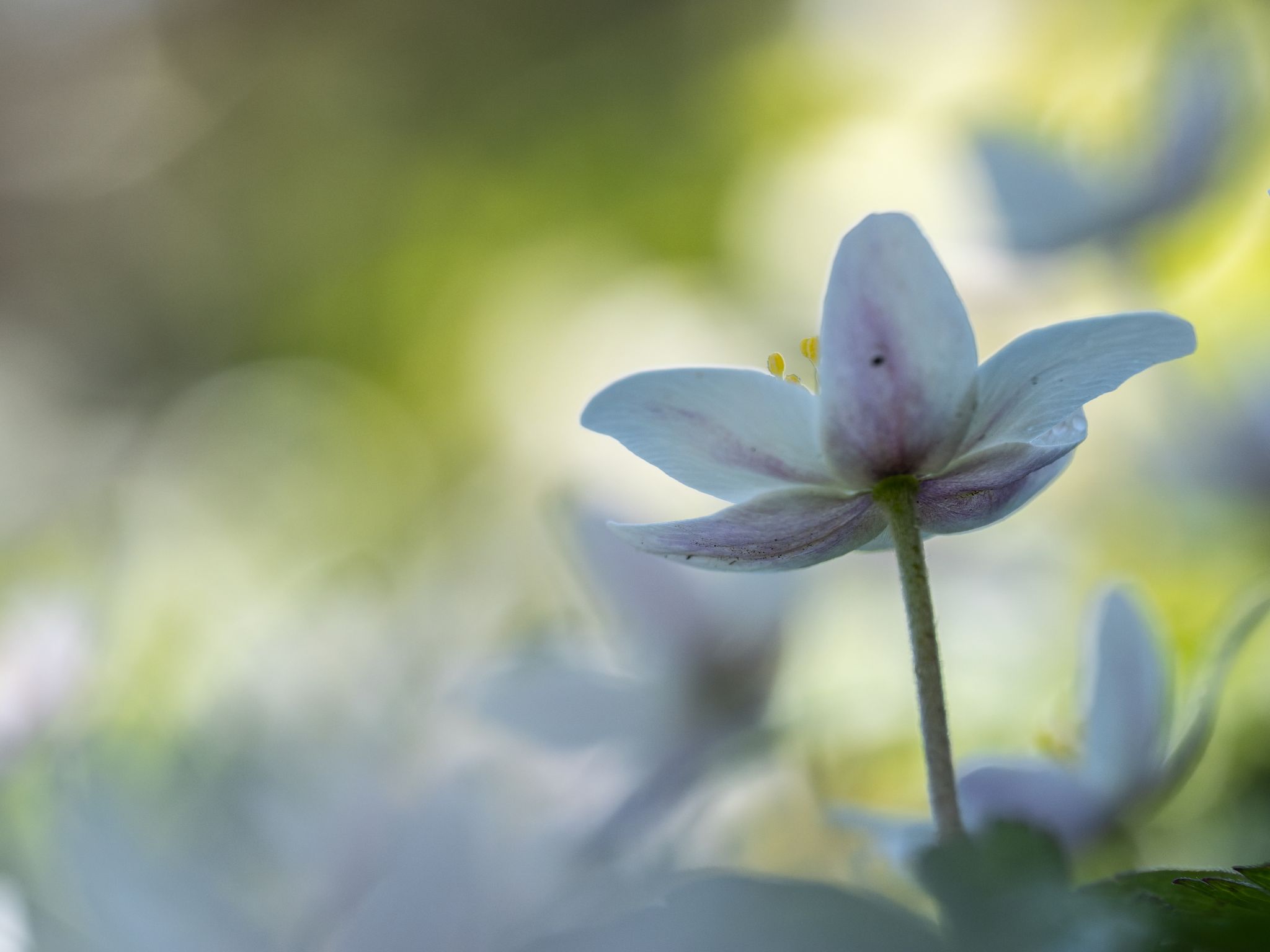 121 260422 1408 H  2HR0199 DxO DeepPRIME 3